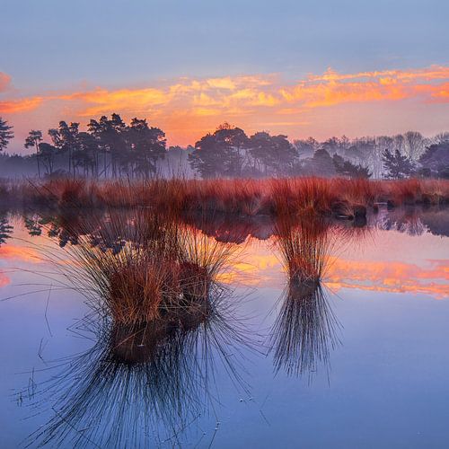 Sunrise with blue sky and dramatic clouds reflected in a lake