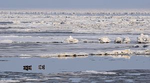 Winter op Terschelling sur Sjoukje Hamstra-Bouma