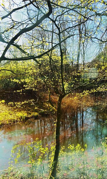 Lake and trees by RAR KRAMER - Visual poet