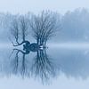 Insel in einer ruhigen Winterlandschaft von Arjan Almekinders