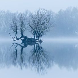 Island in a quiet winter landscape by Arjan Almekinders