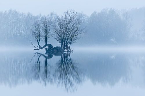 Une île dans un paysage hivernal tranquille