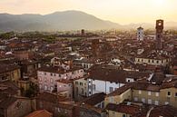 Uitzicht over Lucca in Toscane van Steven Dijkshoorn thumbnail