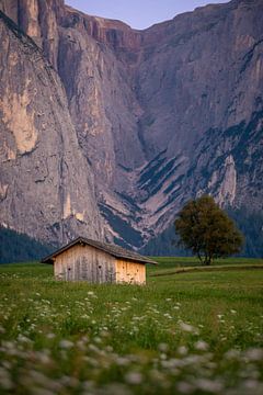 Alm meadows and an alpine hut in front of Monte Sciliar (2) by Luc van der Krabben