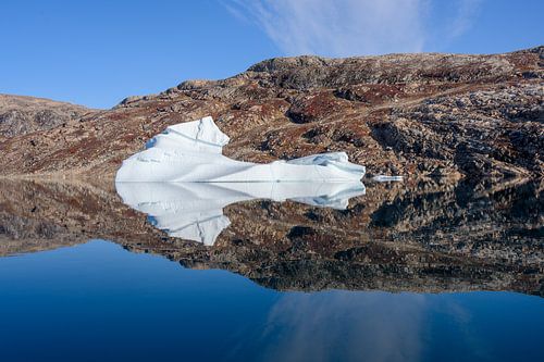 Beautiful sculpture with its mirror image