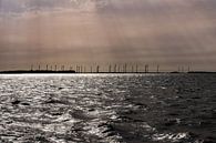 Het Volkerak met zicht op de windmolens van de Philipsdam. van Saskia Strack thumbnail