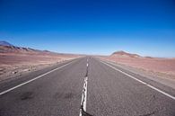 Lege weg in de Atacama woestijn von Armin Palavra Miniaturansicht