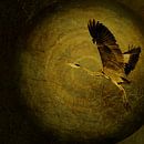 Wabi-Sabi heron. 2 by Alie Ekkelenkamp thumbnail
