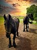 Deux chevaux frisons sur Digital Art Nederland Aperçu