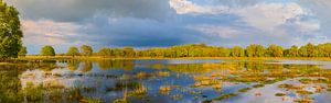 Panorama des Nationalparks Dwingelderveld