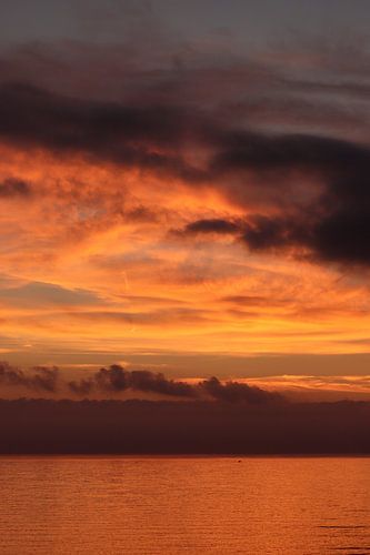 The Beauty of Silence 5