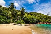 Traumstrand Anse Major -  Mahé - Seychellen von Max Steinwald Miniaturansicht