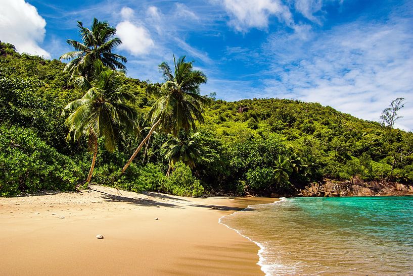 Plage de rêve Anse Major -  Mahé - Seychelles par Max Steinwald