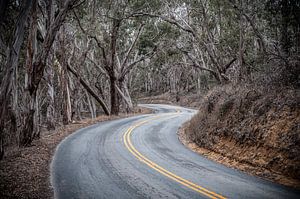 Route sinueuse sur Wim Slootweg