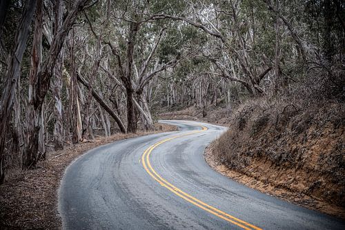 Winding Road