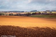 Limburgs "Heuvelland" in Baneheide by Rob Boon thumbnail
