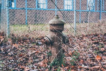 Ein rostiger Hydrant die Blätter und Industriegebiet von Zaankanteropavontuur