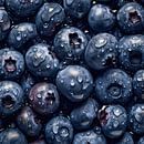 Blueberries with drops of water square by Studio XII thumbnail