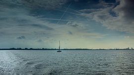 Nach Hause segeln von Patrick Herzberg