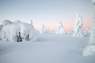 Winters landschap in Finland van Menno Schaefer thumbnail