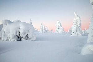 Paysage d'hiver en Finlande