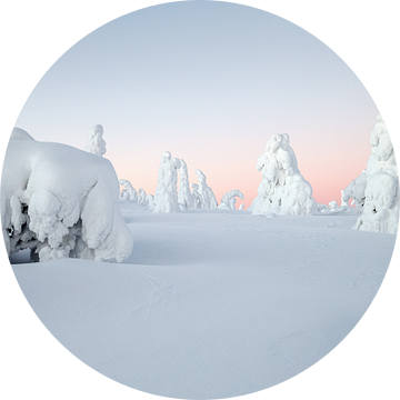 Winters landschap in Finland van Menno Schaefer