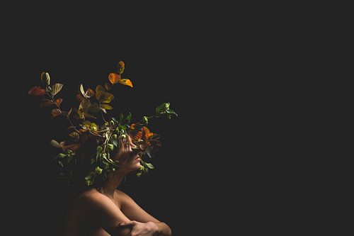 fleurige bloementooi