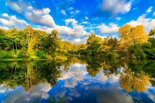 Beautiful reflection of clouds and trees in the forest.