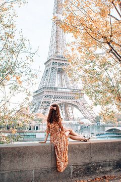 De Eiffel Toren in Parijs tussen de bomen door