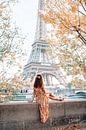 La Tour Eiffel à Paris entre les arbres par Dymphe Mensink Aperçu