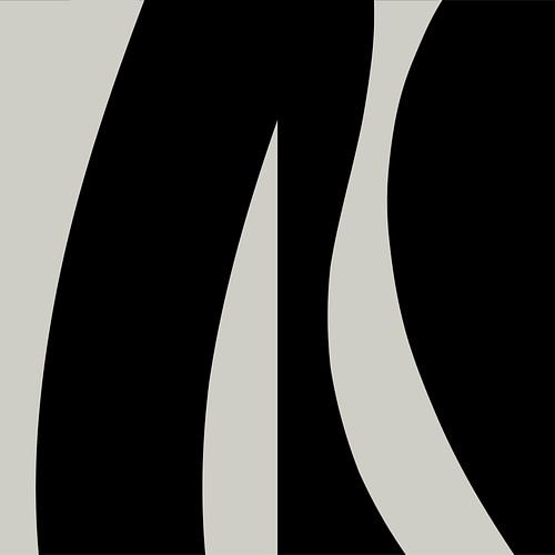 Zwarte Abstracte Organische Geometrische Vormen nr. 1