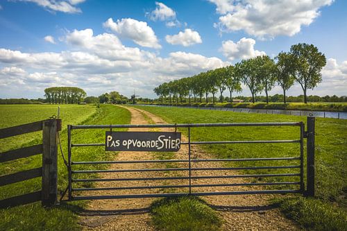 Pas Op Voor De Stier van rosstek ®