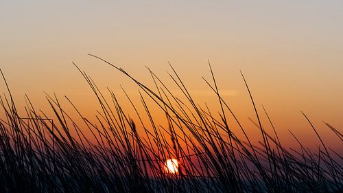 De zonsondergang boven zee gezien door het helmgras bovenop het duin