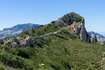 Étendue verte et ascension vers la crête de la montagne