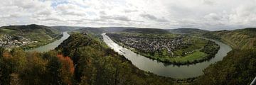 Moselle panorama