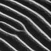 Sahara Desert. Sand dunes, detail. by Frans Lemmens