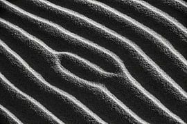 Sahara Desert. Sand dunes, detail. by Frans Lemmens