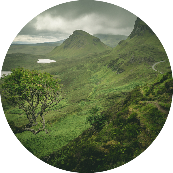 Eenzame boom bij Quiraing van Jasper van der Meij