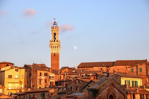 Kloktoren van Siena in Avondlicht