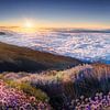 Teneriffa über den Wolken zum Sonnenuntergang. von Voss Fine Art Fotografie