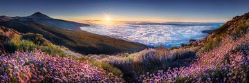 Tenerife above the clouds for sunset.