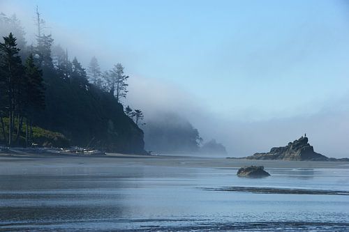 Zeemist bij Ruby Beach