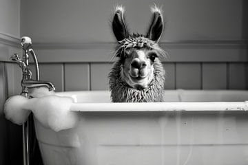 Un lama détendu dans la salle de bains - une œuvre d'art unique pour les toilettes