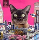 Urban cat, 2015, (mixed media) von Anne Storno Miniaturansicht