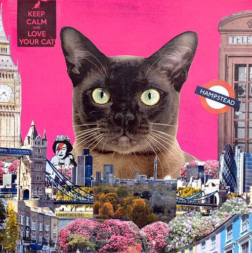 Chat urbain, 2015, (techniques mixtes)