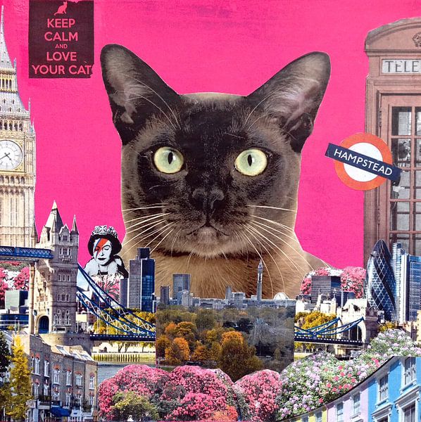 Urban cat, 2015, (mixed media) von Anne Storno