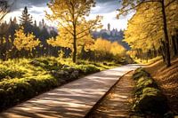 Path through autumn forest