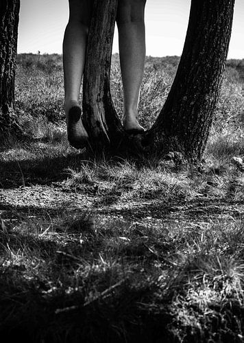 Verbonden met de Natuur