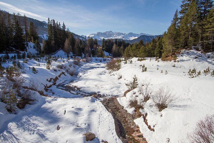 Rasciesa in the snow by Yvs Doh