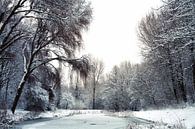 Winterwonderland van Bob Bleeker thumbnail